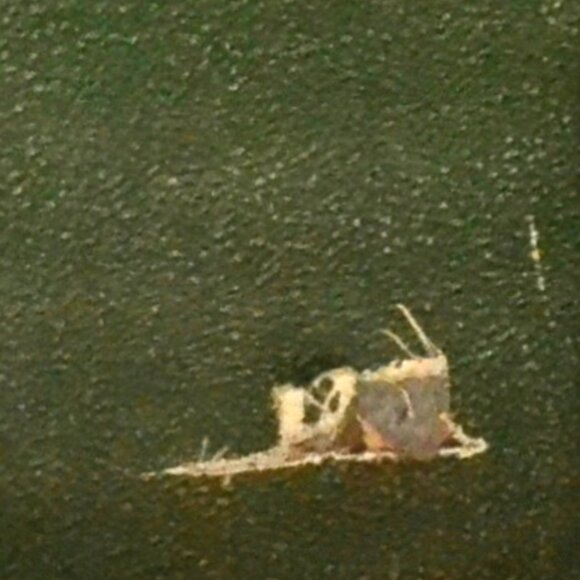 Victorian Photo Album With Antique Photogaphs Embossed Cover & Ornate Clasp” - Picture 8 of 14